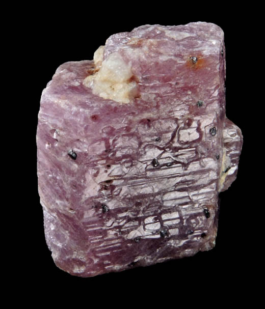 Corundum var. Ruby from Mysuru (formerly Mysore), Karnataka, India