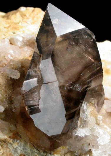 Quartz var. Smoky Quartz from Mooralla, Victoria, Australia