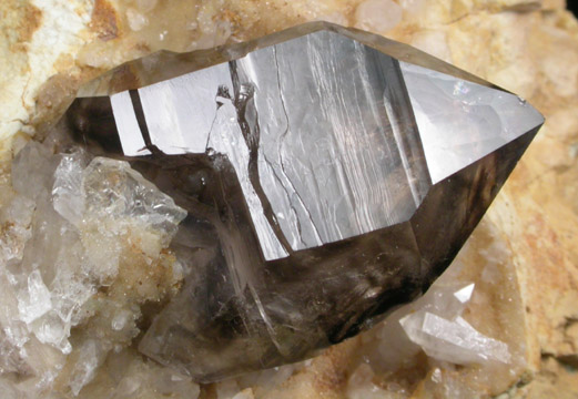 Quartz var. Smoky Quartz from Mooralla, Victoria, Australia