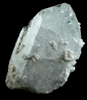 Celestine from Salem, Washington County, Indiana