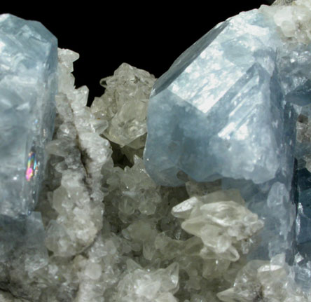 Celestine and Calcite from Route 13 road cut, Chittenengo Falls, Madison County, New York