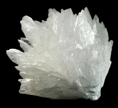 Celestine from Hammam Zriba, Zaghaoun, Tunisia