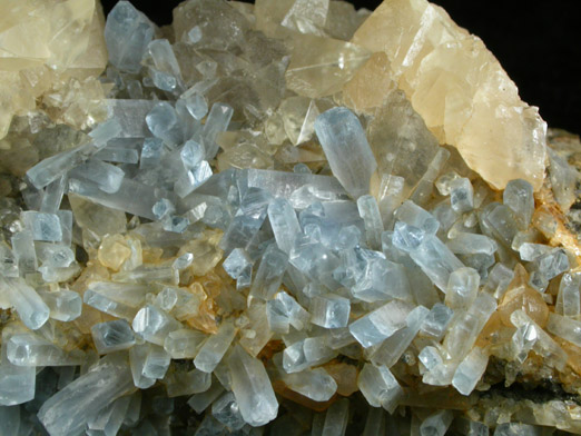 Celestine and Calcite from Pugh Quarry, 6 km NNW of Custar, Wood County, Ohio
