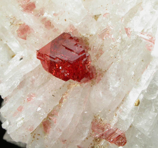 Spessartine Garnet on Albite var. Cleavelandite with Muscovite and Quartz from Navegadora Mine, Conselheiro Pena, Minas Gerais, Brazil