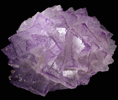 Fluorite from Mina el Tule, Melchor Muzquiz, Coahuila, Mexico