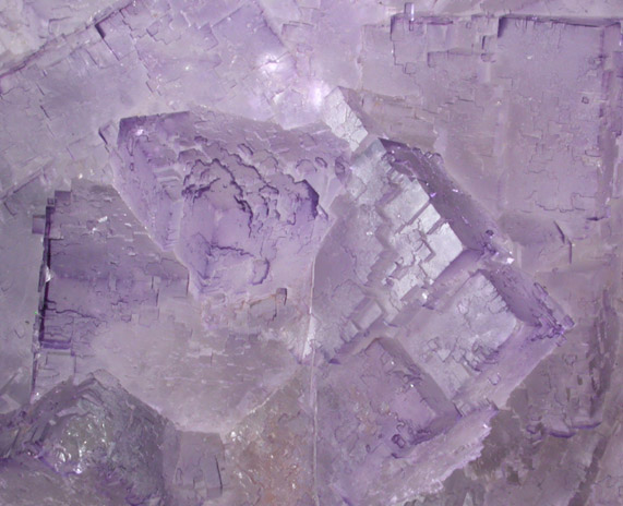 Fluorite from Mina el Tule, Melchor Muzquiz, Coahuila, Mexico