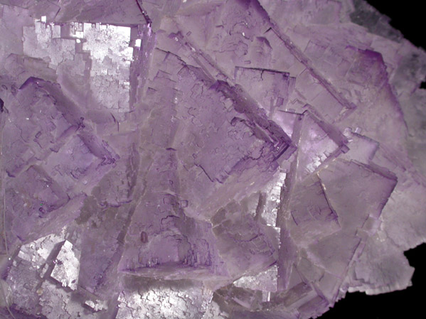 Fluorite from Mina el Tule, Melchor Muzquiz, Coahuila, Mexico