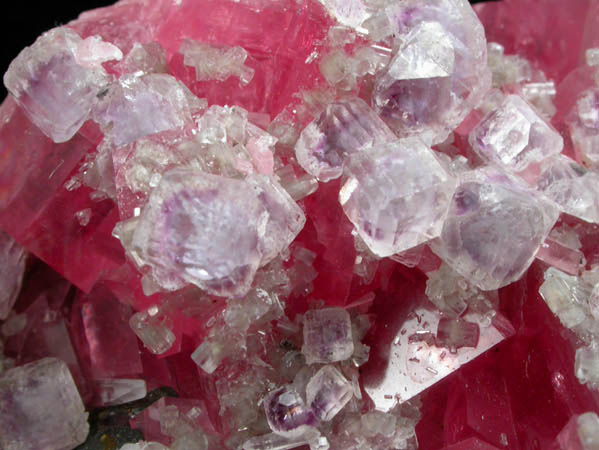 Rhodochrosite with Fluorite and Fluorapatite from Sweet Home Mine, Buckskin Gulch, Alma District, Park County, Colorado