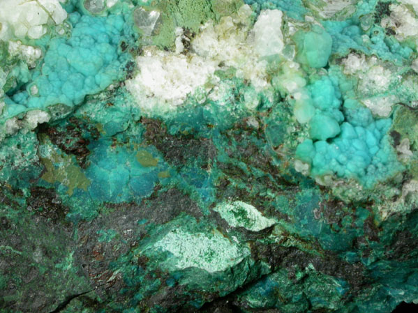 Chrysocolla, Malachite, Bornite in Calcite from Scotch Plains, Union County, New Jersey