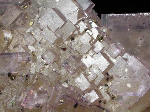 Fluorite with Pyrite from Elmwood Mine, Carthage, Smith County, Tennessee