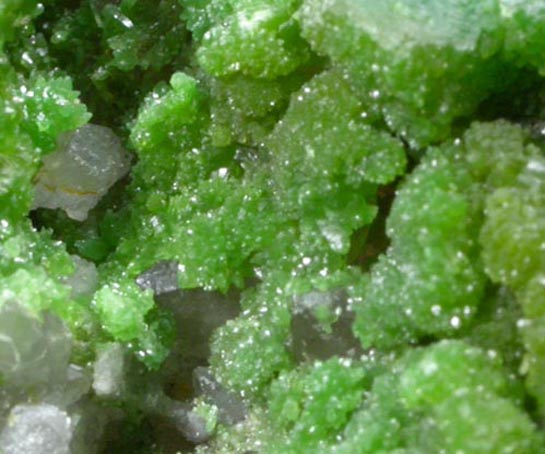 Pyromorphite on Quartz from Chester County Mine, Phoenixville, Chester County, Pennsylvania