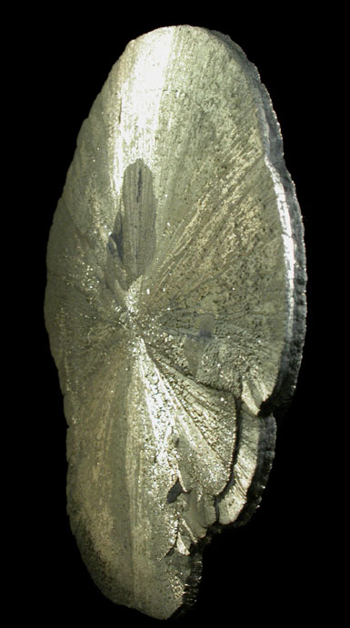 Pyrite (Pyrite Sun Formation) from Sparta, Randolph County, Illinois