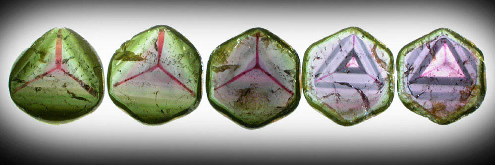 Liddicoatite Tourmaline (set of 5 polished slices from a single crystal) from Alakamisy Itenina, south of Antsirabe, Fianarantsoa, Haute Matsiatra, Madagascar (Type Locality for Liddicoatite = near Antsirab)