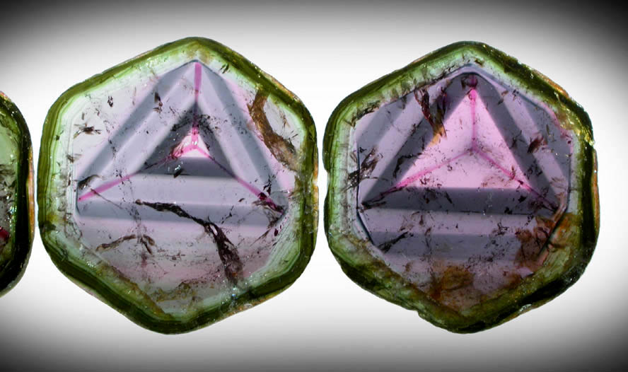 Liddicoatite Tourmaline (set of 5 polished slices from a single crystal) from Alakamisy Itenina, south of Antsirabe, Fianarantsoa, Haute Matsiatra, Madagascar (Type Locality for Liddicoatite = near Antsirab)