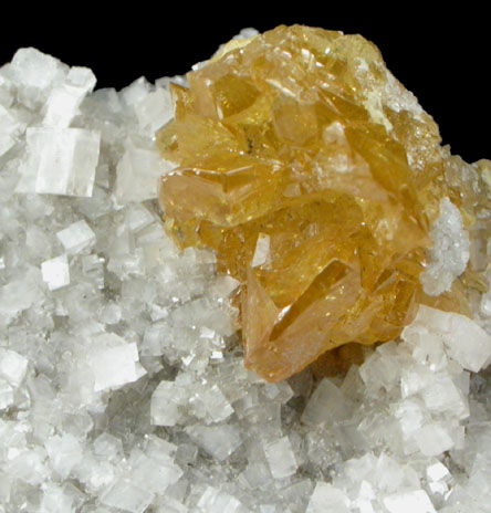 Sphalerite on Dolomite from Frontier Quarry, Lockport, Niagara County, New York