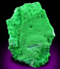 Conichalcite from Blue Light Mine, Mineral County, Nevada