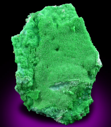 Conichalcite from Blue Light Mine, Mineral County, Nevada