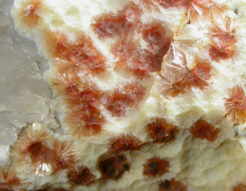Ferrierite-Mg on Chalcedony from Kamloops Lake railroad cut, British Columbia, Canada (Type Locality for Ferrierite-Mg)