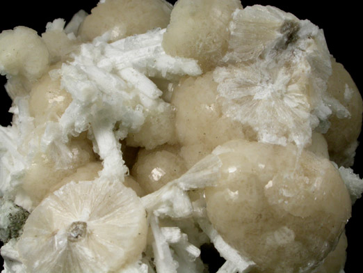 Stilbite-Ca with Natrolite from Millington Quarry, Bernards Township, Somerset County, New Jersey