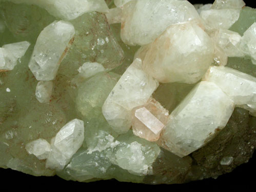 Datolite on Prehnite from Upper New Street Quarry, Paterson, Passaic County, New Jersey