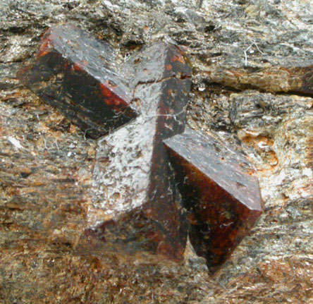 Staurolite from Cook Road Locality, Windham, Cumberland County, Maine