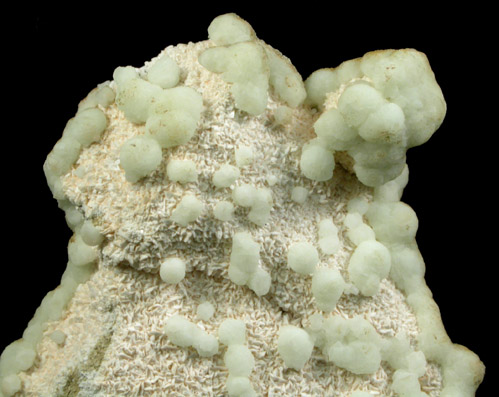 Prehnite and Albite from Interstate 80 road cut, Paterson, Passaic County, New Jersey