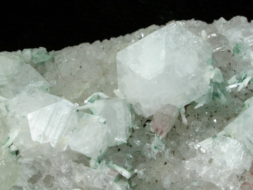 Apophyllite, Prehnite, Heulandite-Ca, Laumontite, Celadonite, Quartz from Prospect Park Quarry, Prospect Park, Passaic County, New Jersey