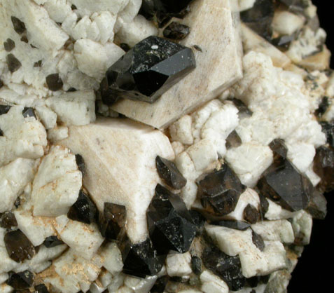 Albite and Smoky Quartz from near Hamilton, Ravalle County, Montana