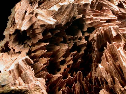 Quartz pseudomorphs after Glauberite from McKiernan and Bergin Quarry, Paterson, Passaic County, New Jersey