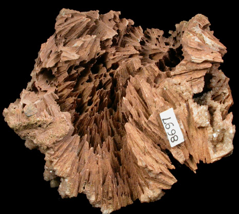 Quartz pseudomorphs after Glauberite from McKiernan and Bergin Quarry, Paterson, Passaic County, New Jersey