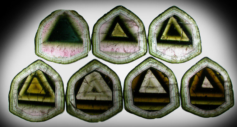 Liddicoatite Tourmaline (set of 7 polished slices from a single crystal) from Alakamisy Itenina, south of Antsirabe, Fianarantsoa, Haute Matsiatra, Madagascar (Type Locality for Liddicoatite = near Antsirabé)