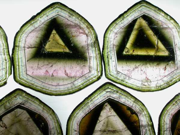 Liddicoatite Tourmaline (set of 7 polished slices from a single crystal) from Alakamisy Itenina, south of Antsirabe, Fianarantsoa, Haute Matsiatra, Madagascar (Type Locality for Liddicoatite = near Antsirabé)