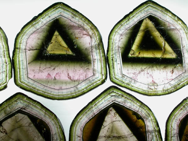 Liddicoatite Tourmaline (set of 7 polished slices from a single crystal) from Alakamisy Itenina, south of Antsirabe, Fianarantsoa, Haute Matsiatra, Madagascar (Type Locality for Liddicoatite = near Antsirab)