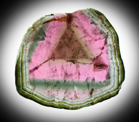 Liddicoatite Tourmaline from Alakamisy Itenina, south of Antsirabe, Fianarantsoa, Haute Matsiatra, Madagascar (Type Locality for Liddicoatite = near Antsirab)