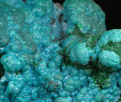 Chrysocolla with Malachite from L'Etoile du Congo Mine, Lubumbashi, Katanga Copperbelt, Haut-Katanga Province, Democratic Republic of the Congo