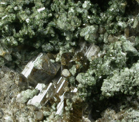 Diopside on Vesuvianite from Goodall Farm Quarry, Sanford, York County, Maine