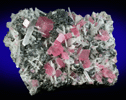 Rhodochrosite with Quartz, Galena, Pyrite from Sweet Home Mine, Buckskin Gulch, Alma District, Park County, Colorado