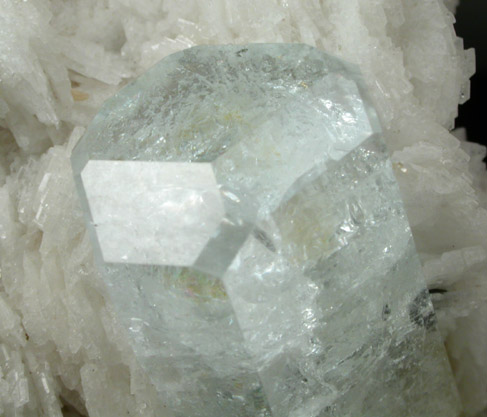 Beryl var. Aquamarine in Albite with Schorl Tourmaline from Skardu District, Baltistan, Gilgit-Baltistan, Pakistan