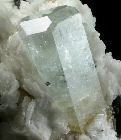 Beryl var. Aquamarine in Albite with Schorl Tourmaline from Skardu District, Baltistan, Gilgit-Baltistan, Pakistan