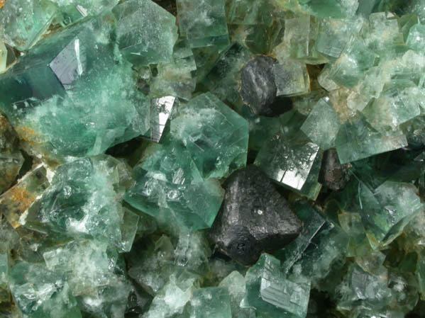 Fluorite with Galena from Rogerley Mine, County Durham, England