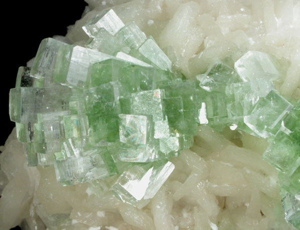 Apophyllite on Stilbite-Ca from Momin Akhada, near Rahuri, 50 km north of Ahmednagar, Maharashtra, India (Type Locality for Collected ca. 2001)