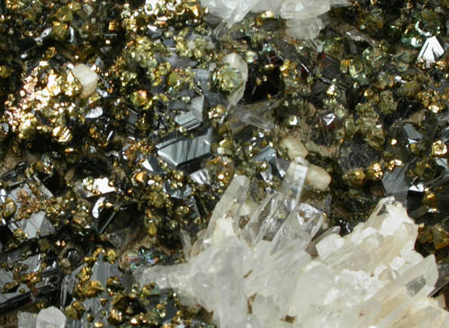 Sphalerite (Spinel-law twinned crystals) with Chalcopyrite, Quartz, Calcite from Herja Mine (Kisbanya), Baia Mare, Maramures, Romania