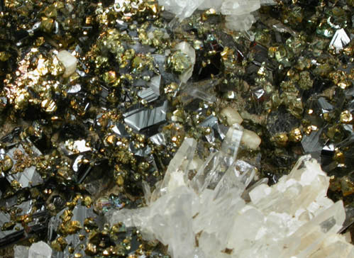 Sphalerite (Spinel-law twinned crystals) with Chalcopyrite, Quartz, Calcite from Herja Mine (Kisbanya), Baia Mare, Maramures, Romania