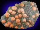 Fluorite on Quartz with Apophyllite from Mahodari, Nashik District, Maharashtra, India