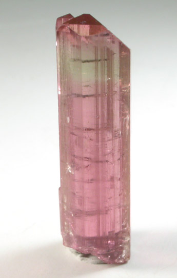 Elbaite var. Rubellite Tourmaline from Minas Gerais, Brazil