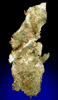Gold (crystallized sheet formation) from Rosia Montana (Vöröspatak), Metaliferi Mountains, Transylvania, Romania
