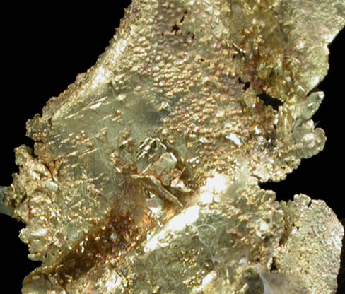 Gold (crystallized sheet formation) from Rosia Montana (Vrspatak), Metaliferi Mountains, Transylvania, Romania