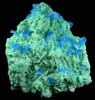 Chalcanthite (synthetic) on Gypsum from Man-made