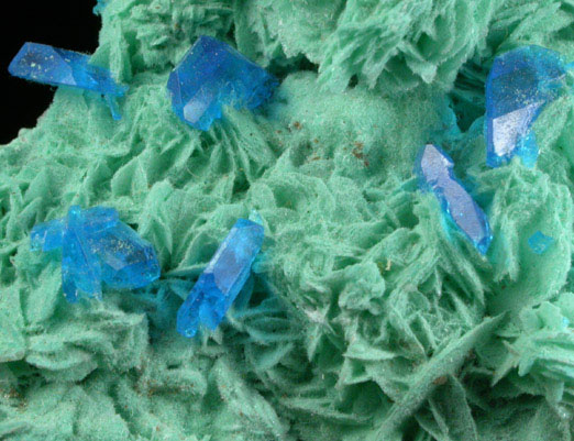 Chalcanthite (synthetic) on Gypsum from Man-made