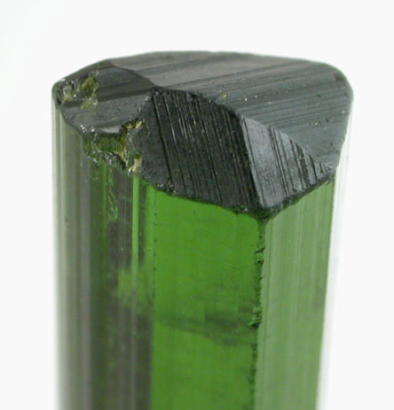 Elbaite Tourmaline from Santa Rosa Mine, Minas Gerais, Brazil